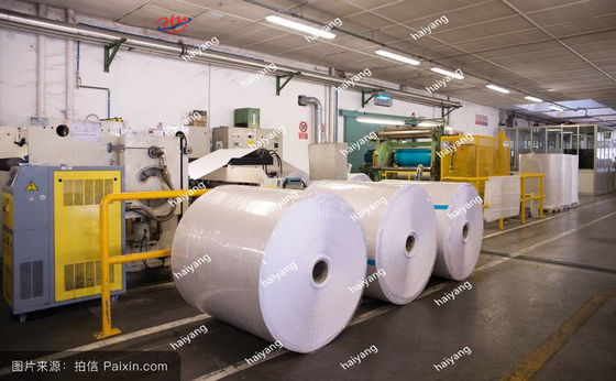 La madera reduce la máquina de la fabricación a pulpa de papel de copia de 1800m m 20T/D A4