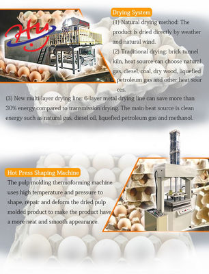 Equipo de fabricación de Tray Moulding Machine Paper Plate del huevo