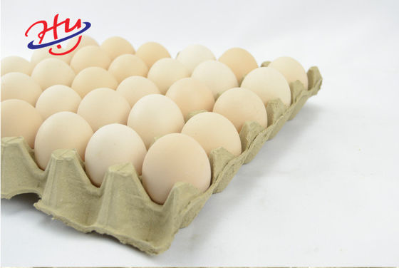 La bandeja automática del café de la bandeja de la fruta de la bandeja del huevo reduce el precio de Tray Molding Equipment a pulpa