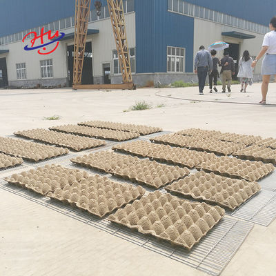 Huevo de papel descascarillado automático Tray Machine Equipments Production Manufacturers