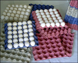 Huevo de papel Tray Machine Molding de la embaladora del huevo 153KW