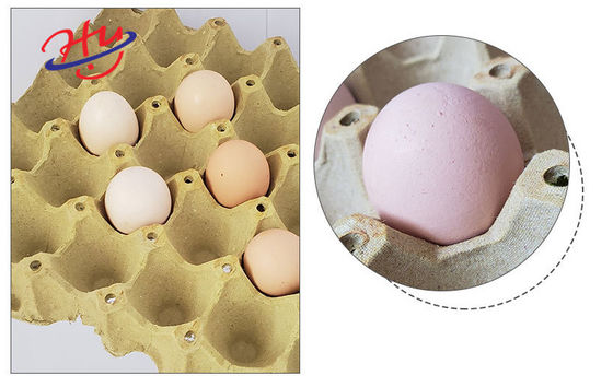 Huevo de papel Tray Making Machine 153KW del molde biodegradable